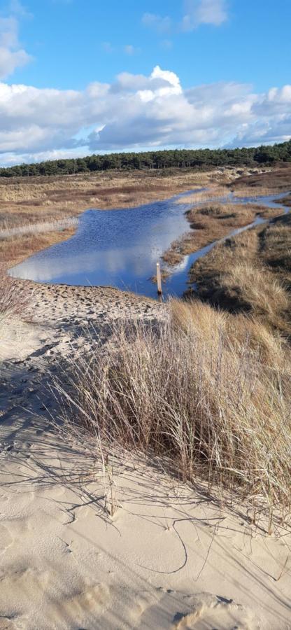 Zilvermeeuw Bergen aan Zee Eksteriør bilde
